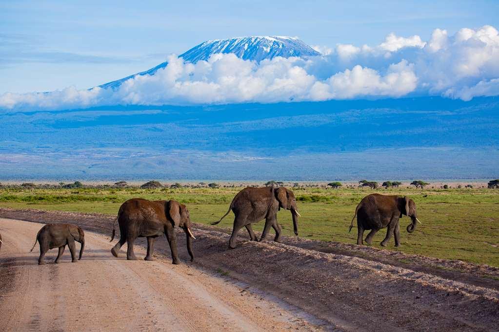 Amboseli Serena Safari Lodge Facilities photo